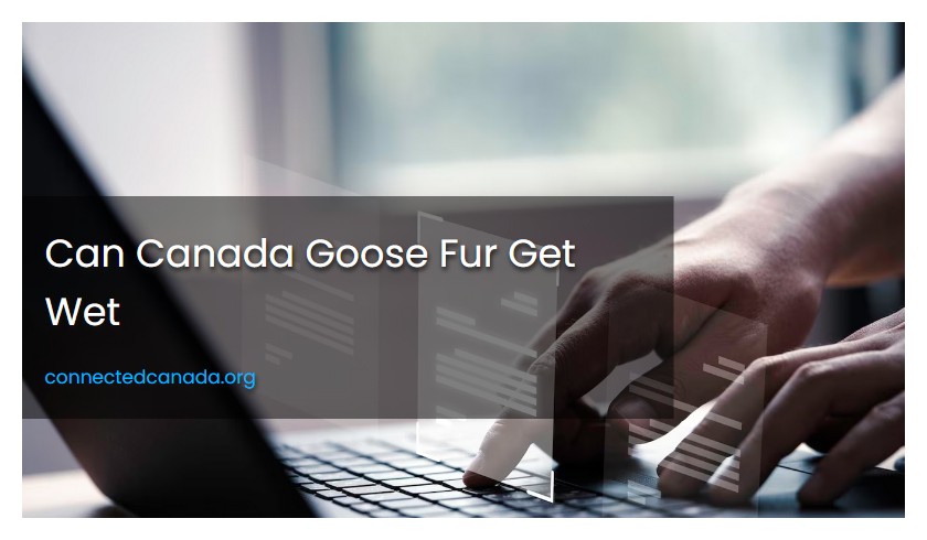 Can Canada Goose Fur Get Wet